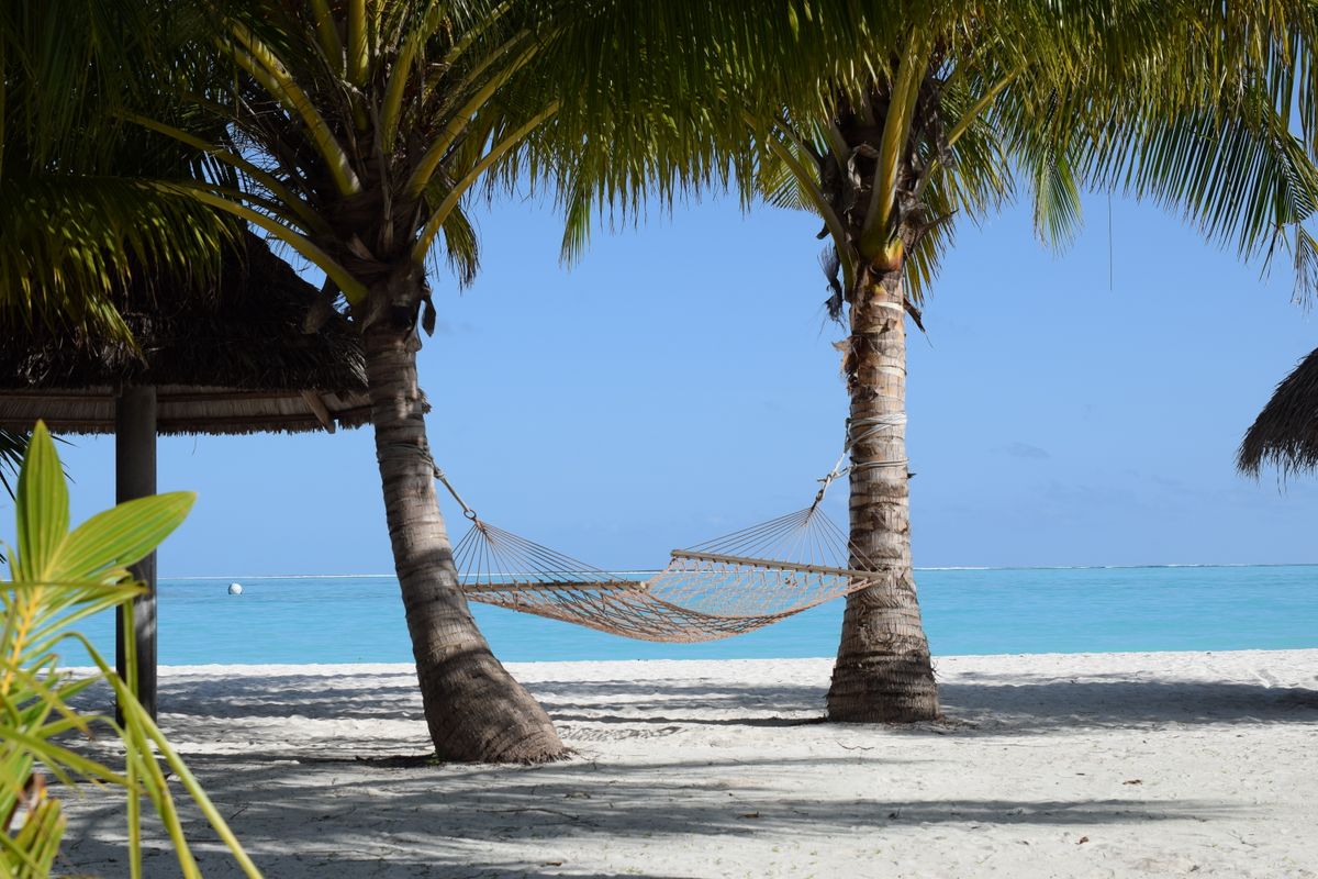 Qatar annual leave - tropical beach vacation with palm trees and hammock